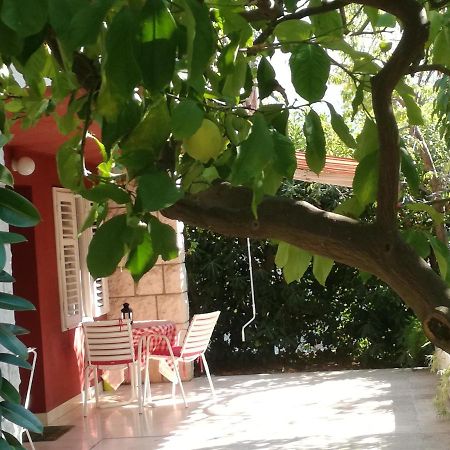 Apartment Petrovic Đảo Korčula Ngoại thất bức ảnh