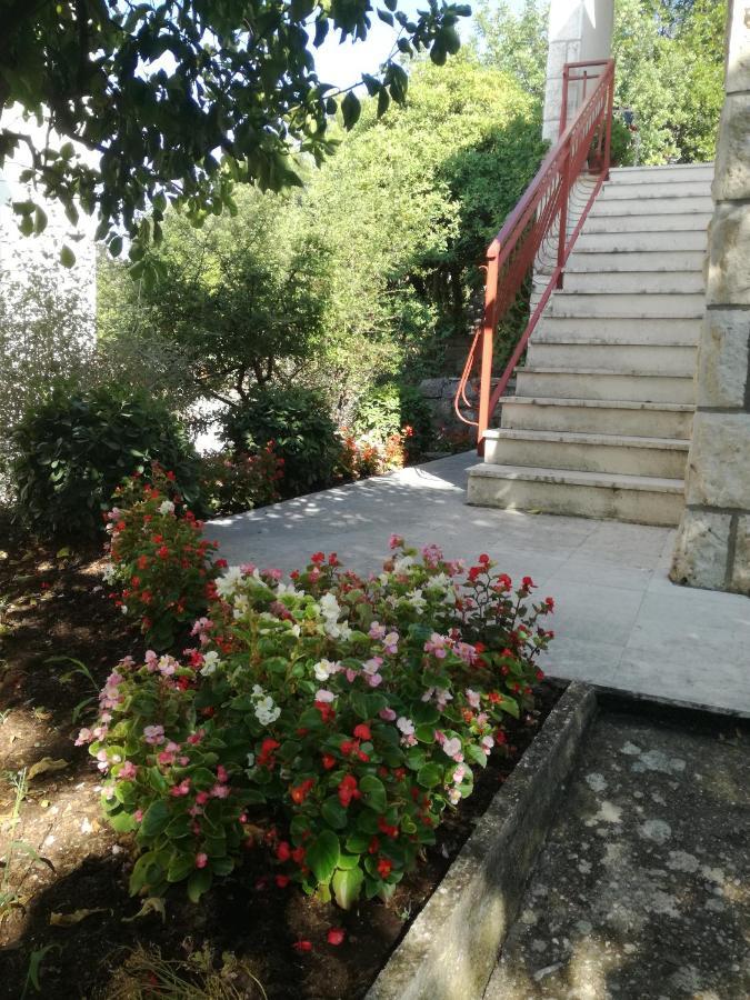 Apartment Petrovic Đảo Korčula Ngoại thất bức ảnh