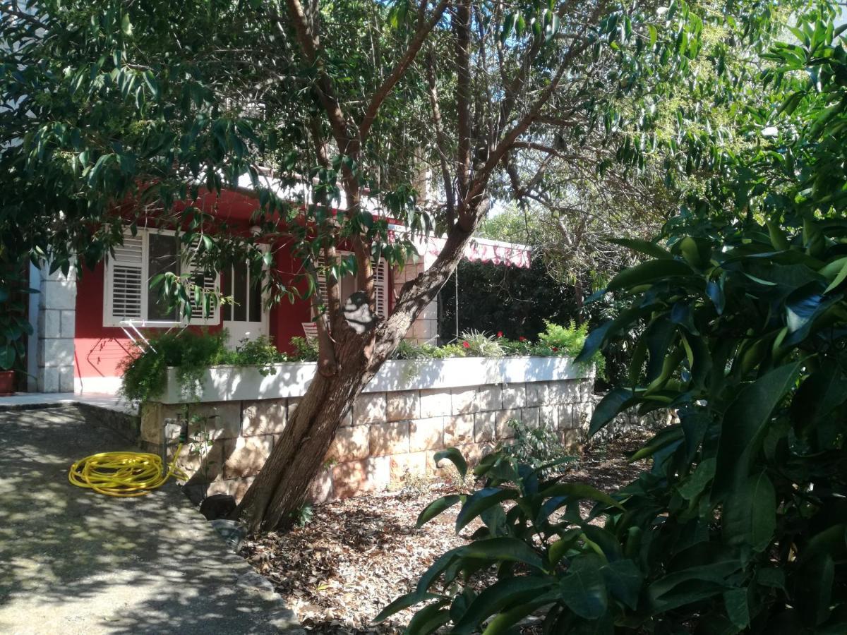 Apartment Petrovic Đảo Korčula Ngoại thất bức ảnh